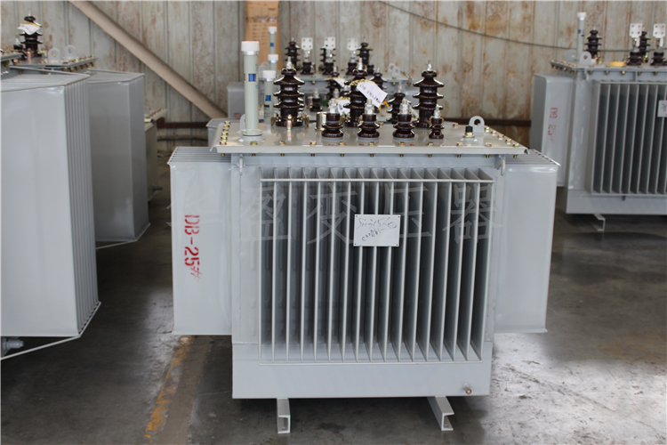 合肥S20-800kVA/10kV/0.4kV变压器